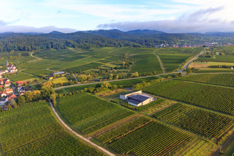 Weingut Nauerth-Gnägy im Ortsteil Rechtenbach in Schweigen-Rechtenbach im Bundesland Rheinland-Pfalz, Deutschland