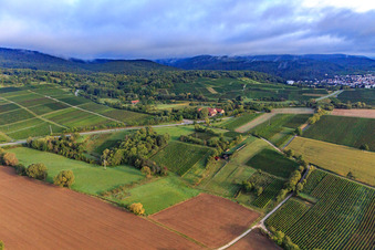 B38 in Dörrenbach im Bundesland Rheinland-Pfalz, Deutschland