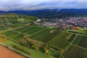 Weinberge südlich der Kurstadt in Dörrenbach im Bundesland Rheinland-Pfalz, Deutschland