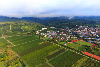 Weinberge südlich der Kurstadt in Bad Bergzabern im Bundesland Rheinland-Pfalz, Deutschland