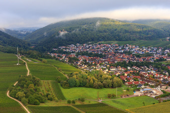 Weinberge am südlichen Ortsrand in Klingenmünster im Bundesland Rheinland-Pfalz, Deutschland