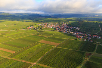 Weinberge am südlichen Ortsrand in Ilbesheim bei Landau im Bundesland Rheinland-Pfalz, Deutschland