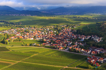 Luftbild von Weinberge am südlichen Ortsrand in Ilbesheim bei Landau im Bundesland Rheinland-Pfalz, Deutschland