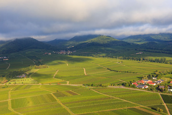 Luftaufnahme von Weinberge am südlichen Ortsrand in Ilbesheim bei Landau im Bundesland Rheinland-Pfalz, Deutschland