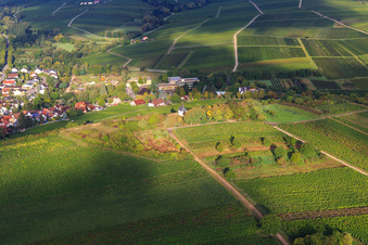 Luftbild von Kapelle Kleine Kalmit aus Osten im Ortsteil Arzheim in Landau in der Pfalz im Bundesland Rheinland-Pfalz, Deutschland