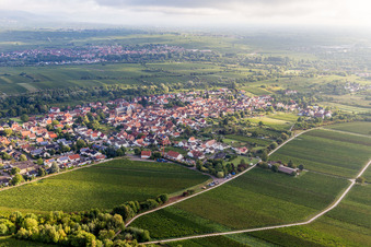 Luftaufnahme von Ortsteil Arzheim in Landau in der Pfalz im Bundesland Rheinland-Pfalz, Deutschland