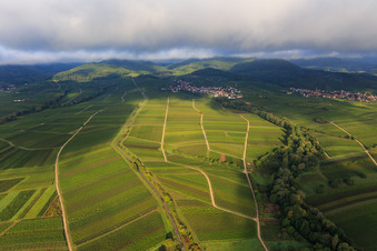 Ranschbachtal aus Osten im Ortsteil Arzheim in Landau in der Pfalz im Bundesland Rheinland-Pfalz, Deutschland