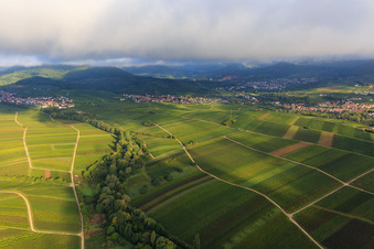 Luftbild von Ranschbachtal aus Osten im Ortsteil Arzheim in Landau in der Pfalz im Bundesland Rheinland-Pfalz, Deutschland
