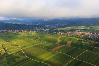 Weinberge zwischen Birkweiler und Siebeldingen im Ortsteil Arzheim in Landau in der Pfalz im Bundesland Rheinland-Pfalz, Deutschland