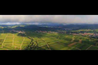 Panorama der Weinberge zwischen Ranschbach und Siebeldingen im Ortsteil Arzheim in Landau in der Pfalz im Bundesland Rheinland-Pfalz, Deutschland