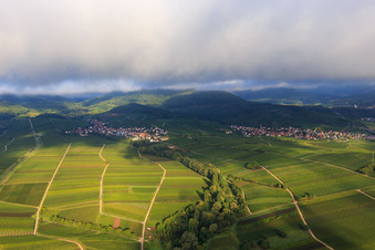 Luftaufnahme von Ranschbachtal aus Osten im Ortsteil Arzheim in Landau in der Pfalz im Bundesland Rheinland-Pfalz, Deutschland
