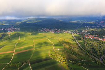 Weinberge zwischen Birkweiler und Siebeldingen aus Osten im Bundesland Rheinland-Pfalz, Deutschland