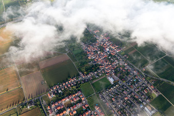Schrägluftbild von Ortsteil Dammheim in Landau in der Pfalz im Bundesland Rheinland-Pfalz, Deutschland