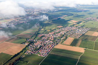 Essingen im Bundesland Rheinland-Pfalz, Deutschland von oben