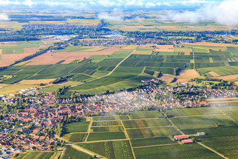 Ortsansicht aus Norden in Insheim im Bundesland Rheinland-Pfalz, Deutschland