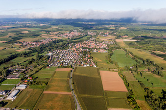 Schrägluftbild von Ortsteil Billigheim in Billigheim-Ingenheim im Bundesland Rheinland-Pfalz, Deutschland