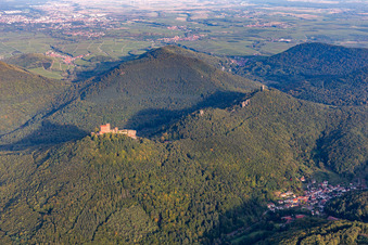 Die 4 Burgen Trifels, Anebos, Jungturm und Münz in Annweiler am Trifels im Bundesland Rheinland-Pfalz, Deutschland