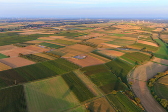 Fundamentgründung des Windparks Freckenfeld der EnBW -für Windenergieanlage mit 6 Windrädern im Bundesland Rheinland-Pfalz, Deutschland vom Flugzeug aus