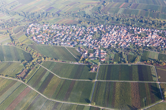 Luftbild von Ortsteil Wollmesheim in Landau in der Pfalz im Bundesland Rheinland-Pfalz, Deutschland