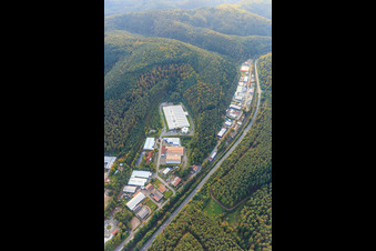 Luftbild von Gewerbegebiet Alte Bundesstraße mit Schumacher Packaging GmbH Werk Hauenstein, Gottardo Logistik und Josef Seibel Schuhfabrik GmbH im Bundesland Rheinland-Pfalz, Deutschland