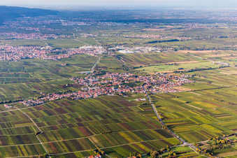 Ortsansicht der Straßen und Häuser der Wohngebiete in Roschbach im Bundesland Rheinland-Pfalz, Deutschland