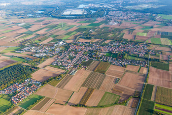 Luftaufnahme von Ortsansicht der Straßen und Häuser der Wohngebiete in Schwegenheim im Bundesland Rheinland-Pfalz, Deutschland