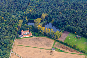 Luftbild von Lachenmühle am Waldrand mit Mühlseeen im Ortsteil Niederlustadt in Lustadt im Bundesland Rheinland-Pfalz, Deutschland
