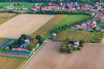 Buchenhof, Herxheimweyher und Arme-Seelen-Kapelle am Knittelsheimer Weg im Bundesland Rheinland-Pfalz, Deutschland