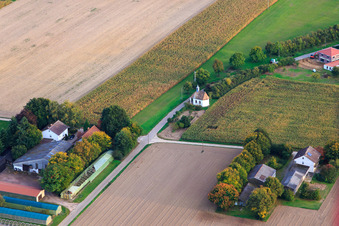 Luftbild von Buchenhof, Herxheimweyher und Arme-Seelen-Kapelle am Knittelsheimer Weg im Bundesland Rheinland-Pfalz, Deutschland