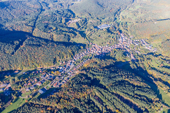 Dorf - Ansicht am Rande von Wäldern in Schwanheim im Bundesland Rheinland-Pfalz, Deutschland