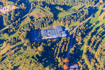 Lugina Schuhfabrik GmbH in Schwanheim im Bundesland Rheinland-Pfalz, Deutschland