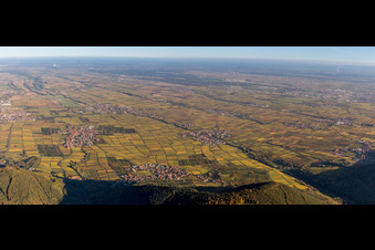 Weinbergs- Landschaft der Pfälzer Weinstraße bei Weyher in der Pfalz im Bundesland Rheinland-Pfalz, Deutschland