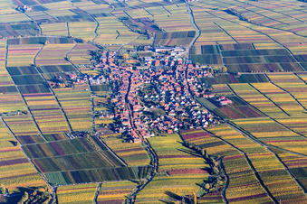 Luftbild von Dorf - Ansicht am Rande von Weinbergen in Herbstfärbung in Rhodt unter Rietburg im Bundesland Rheinland-Pfalz, Deutschland