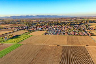 Ortsansicht aus Süden in Steinweiler im Bundesland Rheinland-Pfalz, Deutschland von oben