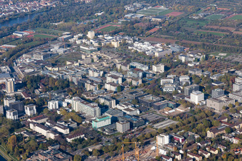 Universität im Ortsteil Neuenheim in Heidelberg im Bundesland Baden-Württemberg, Deutschland