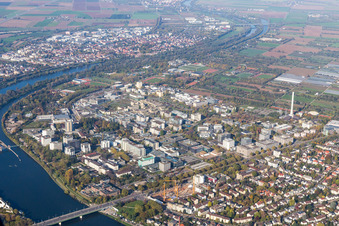 Luftbild von Universität im Ortsteil Neuenheim in Heidelberg im Bundesland Baden-Württemberg, Deutschland