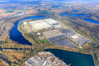 Insel Grün mit MOSOLF Logistics & Services GmbH und Mercedes-Benz Global Logistics Center in Germersheim im Bundesland Rheinland-Pfalz, Deutschland aus der Luft