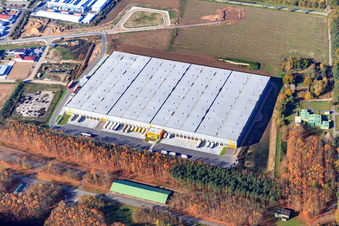 Industriegebiet Waldstückerring mit Logistikhalle für Continental Reifen Gmbh und FIEGE Logistik aus Osten in Bellheim im Bundesland Rheinland-Pfalz, Deutschland