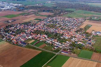 Luftbild von Dorf - Ansicht am Rande von landwirtschaftlichen Feldern und Nutzflächen in Ottersheim bei Landau im Bundesland Rheinland-Pfalz, Deutschland