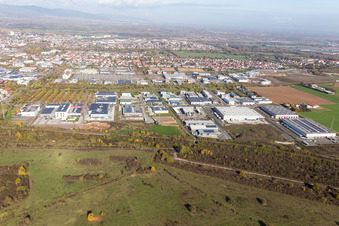 Landau in der Pfalz im Bundesland Rheinland-Pfalz, Deutschland aus der Drohnenperspektive