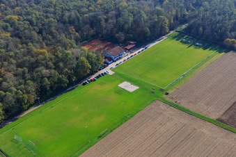Sportplätze des TSV 1908 Freckenfeld aus Nordwesten im Bundesland Rheinland-Pfalz, Deutschland