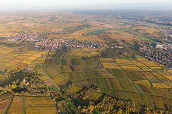 Dorf - Ansicht am Rande von Weinbergen des Sonnenberg in Schweigen in Schweigen-Rechtenbach im Bundesland Rheinland-Pfalz, Deutschland