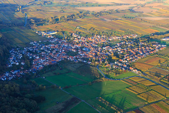 Winzerdorf aus Westen zwichen herbstlich gefärbten Weinbergen in Oberotterbach im Bundesland Rheinland-Pfalz, Deutschland