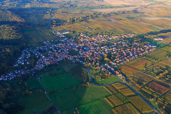 Luftbild von Winzerdorf aus Westen zwichen herbstlich gefärbten Weinbergen in Oberotterbach im Bundesland Rheinland-Pfalz, Deutschland