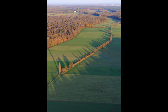 Bruchbach / Otterbachniederung von Westen in Freckenfeld im Bundesland Rheinland-Pfalz, Deutschland