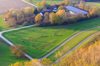 Seehof - Landwirtschaft hnterm Rheindamm in Leimersheim im Bundesland Rheinland-Pfalz, Deutschland