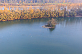 Inselchen im Altrhein in Leimersheim im Bundesland Rheinland-Pfalz, Deutschland