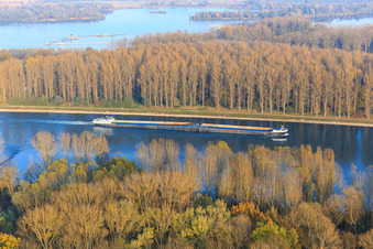 Schüttgutfrachtschiff auf dem Rhein in Linkenheim-Hochstetten im Bundesland Baden-Württemberg, Deutschland