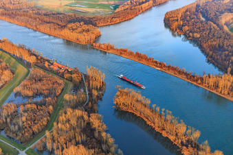 Containerfrachtschiff auf dem Rhein in Germersheim im Bundesland Rheinland-Pfalz, Deutschland