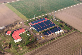 Aussiedlerhof in Erlenbach bei Kandel im Bundesland Rheinland-Pfalz, Deutschland